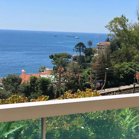 Grazioso Monolocale Con Ampia Terrazza Vista Mare E Montecarlo